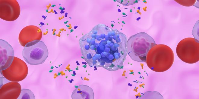 a 3d illustration of activated mast cells releasing granules and a histamine reaction