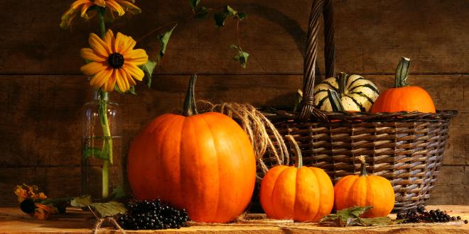 pumpkins ready to be carved